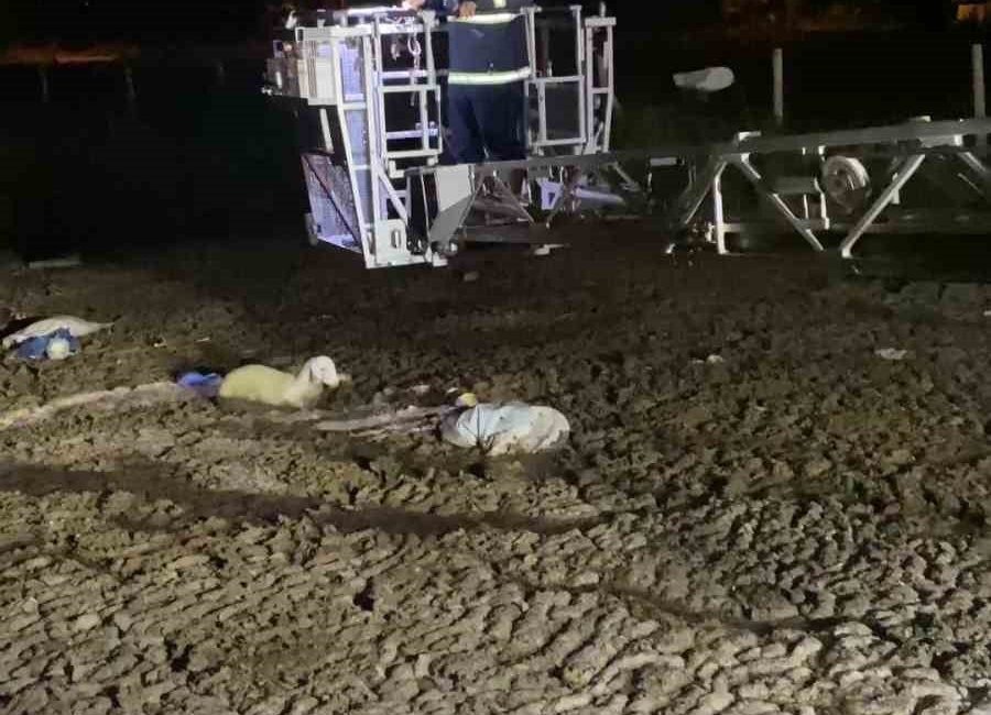 Atık dökülen alanda mahsur kalan koyunu itfaiyeciler kurtardı Amasya’nın Merzifon ilçesinde hayvan atıklarının döküldüğü alanda mahsur kalan koyunu