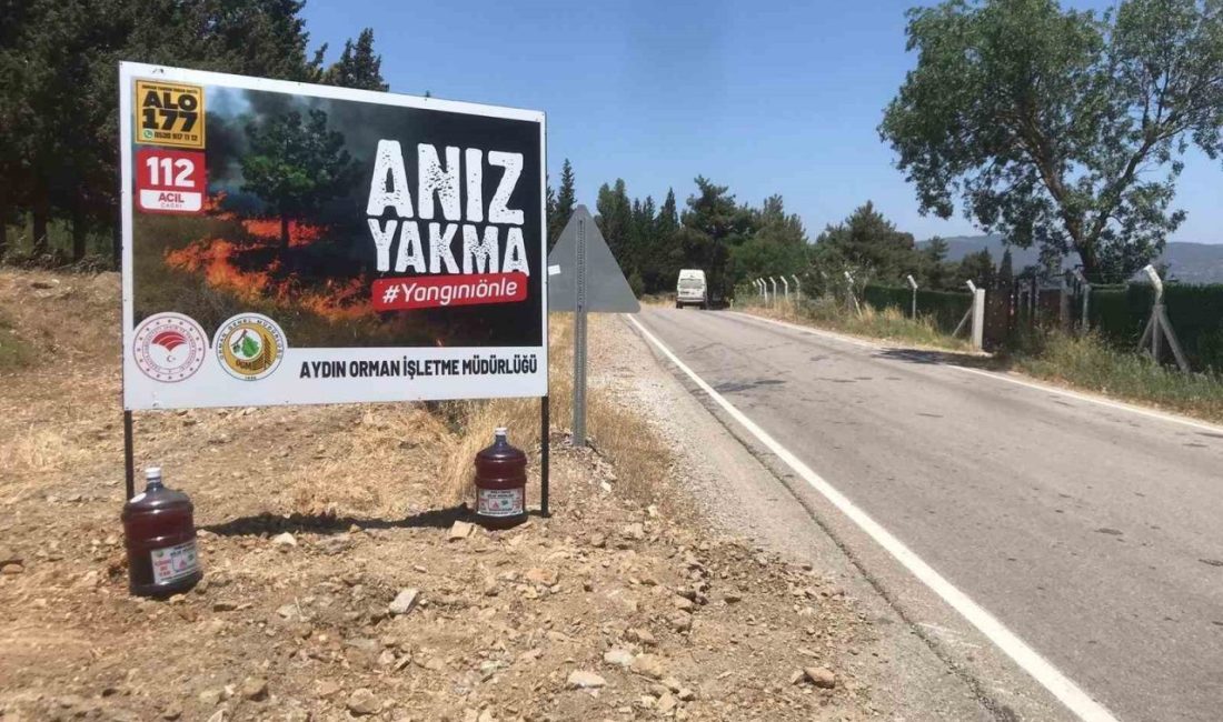 Aydın Orman İşletme İl Müdürlüğü, yol kenarlarına ve insan yoğunluğunun