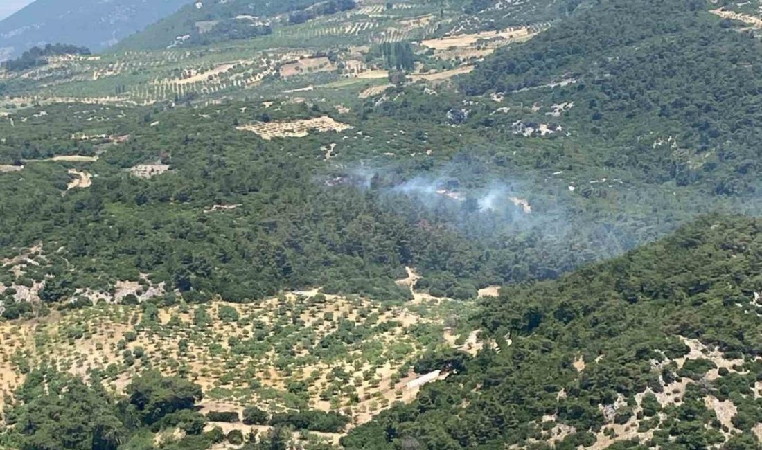 Aydın’ın Germencik ilçesinde ormanlık alanda meydana gelen orman yangını ekiplerin