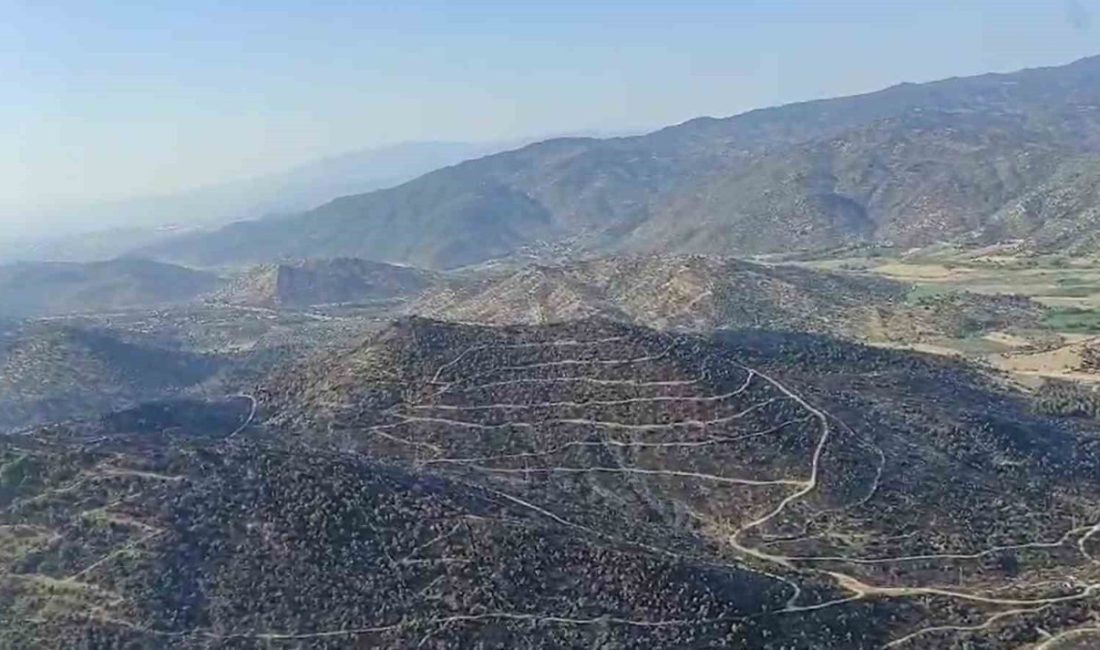 Aydın’daki yangın kontrol altına alındı Aydın’ın Efeler ilçesi Savrandere Mahallesi mevkisinde tarım arazisinde başlayan ve