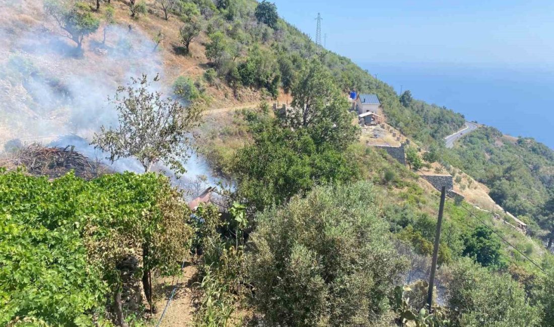 Antalya’nın Gazipaşa ilçesinde meydana gelen bahçe yangını, ekiplerin müdahalesi ile