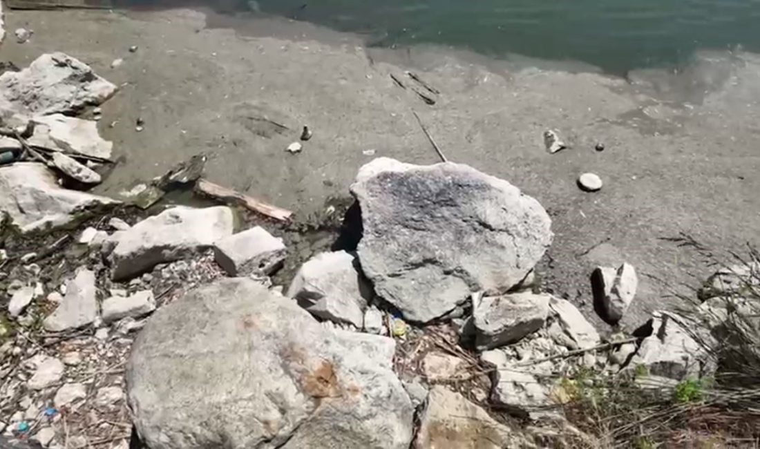 İstanbul’un önemli yeşil alanlarından Bakırköy Botanik Parkı, 14 ay boyunca