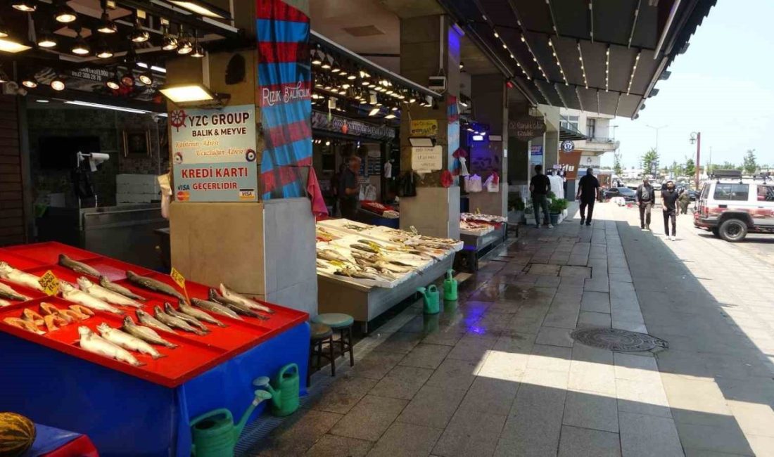 Kurban Bayramı’nın gelmesiyle birlikte balık satışlarında durgunluk yaşanıyor. Kurban Bayramı’nda