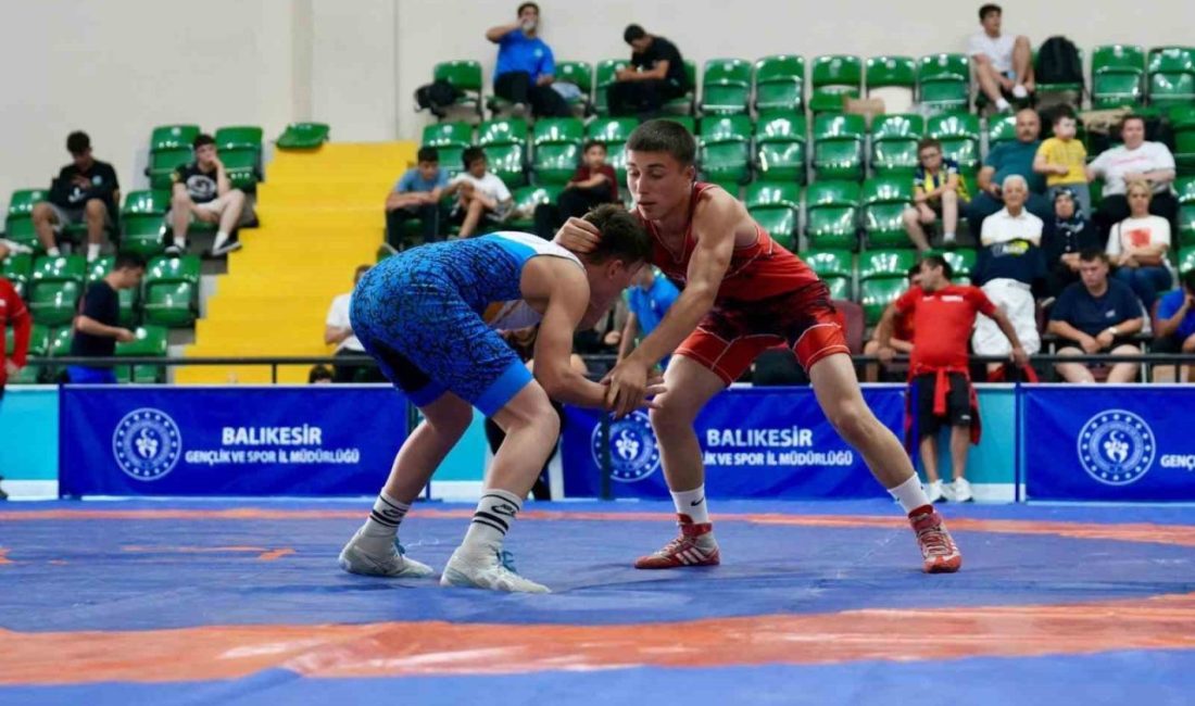 Balıkesir’de Türkiye-Almanya sportif gençlik buluşması yapıldı Balıkesir Gençlik ve Spor İl Müdürlüğü tarafından hayata geçirilen ’Uluslararası