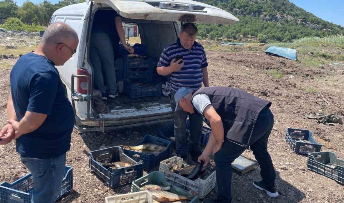 Beyşehir Gölü’nde yeni av sezonu başladı, denetimler sıkılaştırıldı Konya’nın Beyşehir ilçesinde yer alan göl ve göletlerde yeni balık