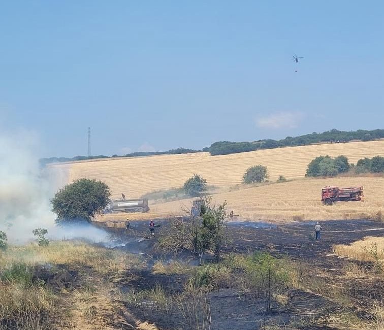 Biga’da tarım arazisinde çıkan yangın kontrol altına alındı Çanakkale’nin Biga ilçesinde tarım arazisinde çıkan yangın ekiplerin havadan ve
