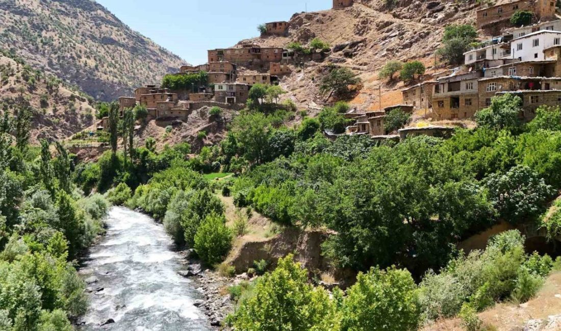 Bitlis’in saklı cenneti: Hacı Mehmet köyü doğaseverlerin yeni gözdesi oldu Bitlis’in en gözde köylerinden biri olan Hacı Mehmet köyü, hem