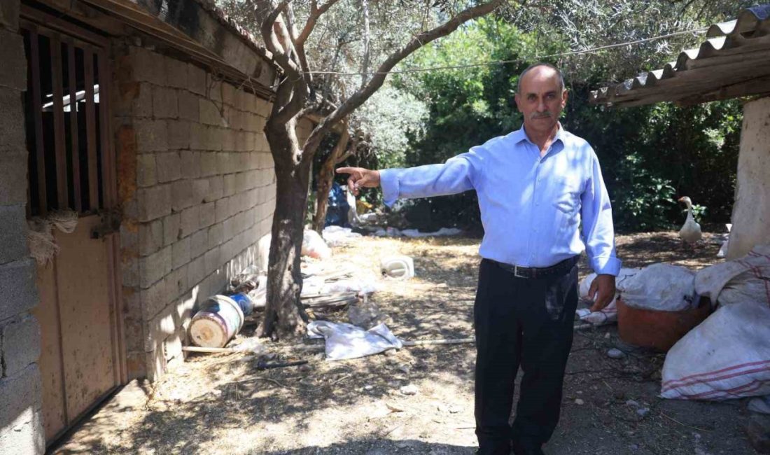 Hatay’da 30 yıldır besicilik yapan Mehmet Duman’ın ‘Bu benim en