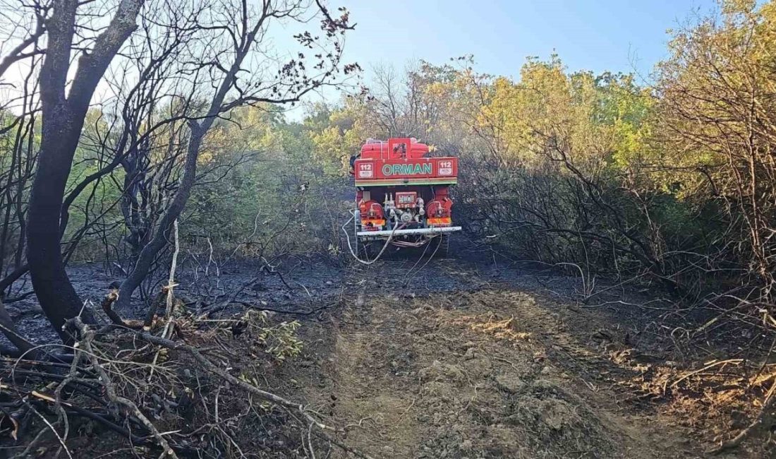 Bursa’da ormanlık alanda çıkan yangın kontrol altına alındı Bursa’nın Mustafakemalpaşa ilçesinde ormanlık alanda çıkan yangın, ekiplerin müdahalesiyle kontrol