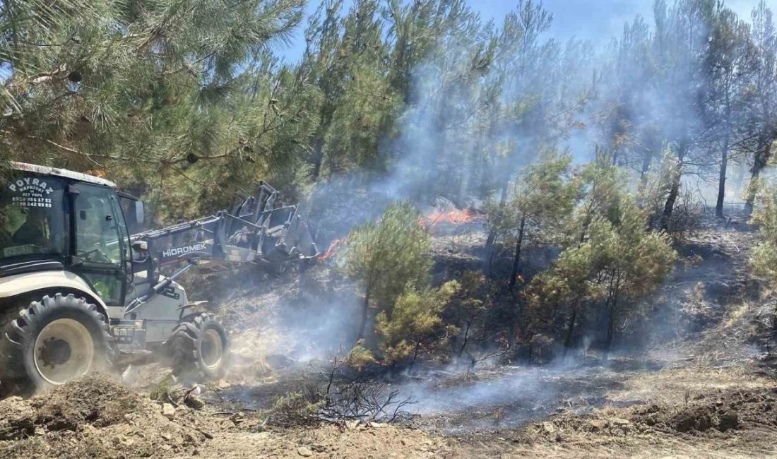 Çanakkale’de tarım arazisinde başlayan yangın ormanlık alana sıçradı Çanakkale Merkeze bağlı Erenköy ile Yenimahalle köyleri arasında tarım arazisinde