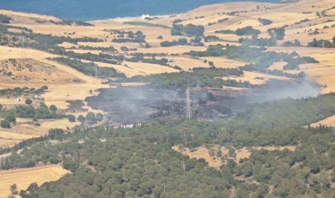 Çanakkale’de tarım arazisinde başlayıp ormana sıçrayan yangın kontrol altına alındı Çanakkale’nin Biga ilçesinde tarım arazisinde başlayıp ormanlık alana sıçrayan yangın,