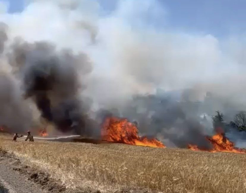 Çanakkale’nin Biga ilçesine bağlı Değirmencik ile Aksaz köyleri arasında tarım