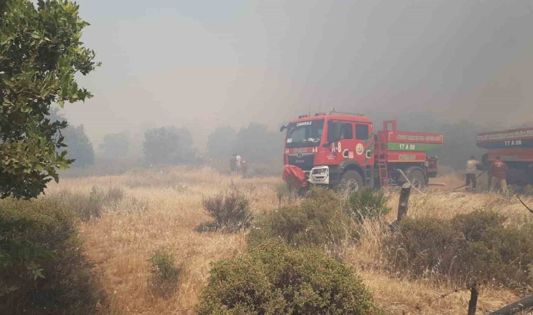 Çanakkale’de tarım arazisinde yangın Çanakkale’nin Ezine ilçesinde tarım arazisinde çıkan yangını, Orman Bölge Müdürlüğü