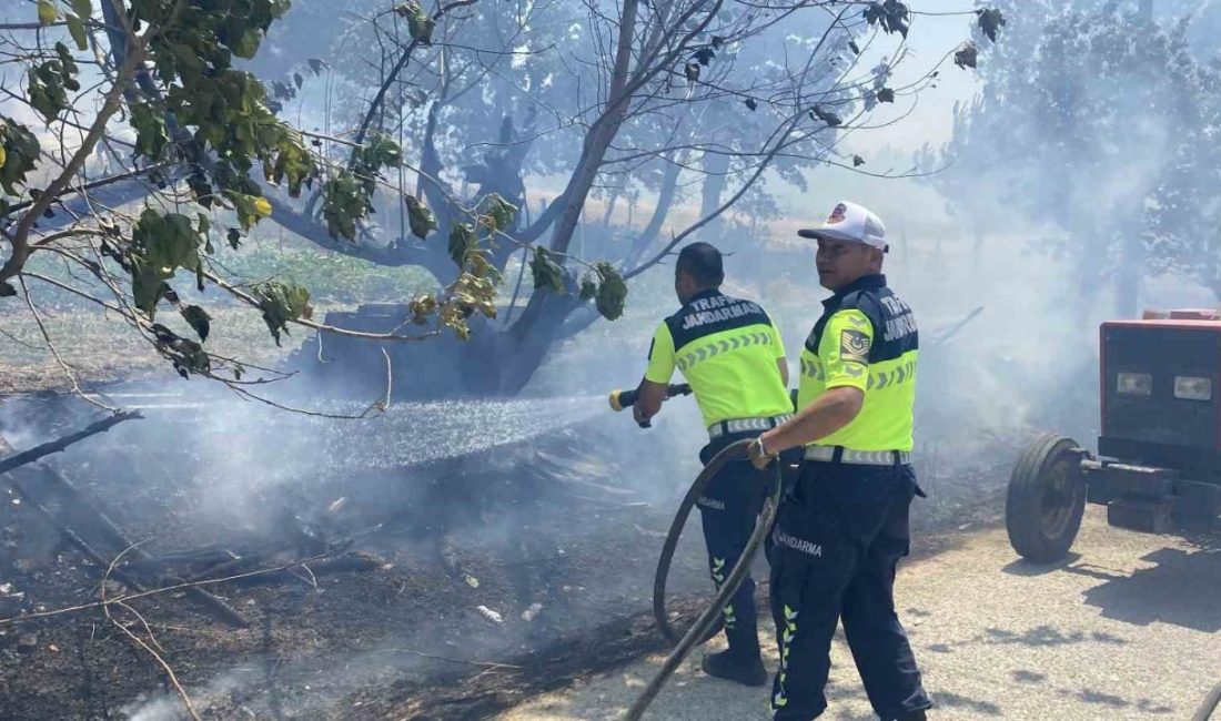 Çanakkale’deki orman yangınında köye ulaşan alevler karşısında jandarma ve köylüler seferber oldu Çanakkale’de tarım arazisinde başlayıp ormanlık alana sıçrayan yangında alevler Yenimahalle