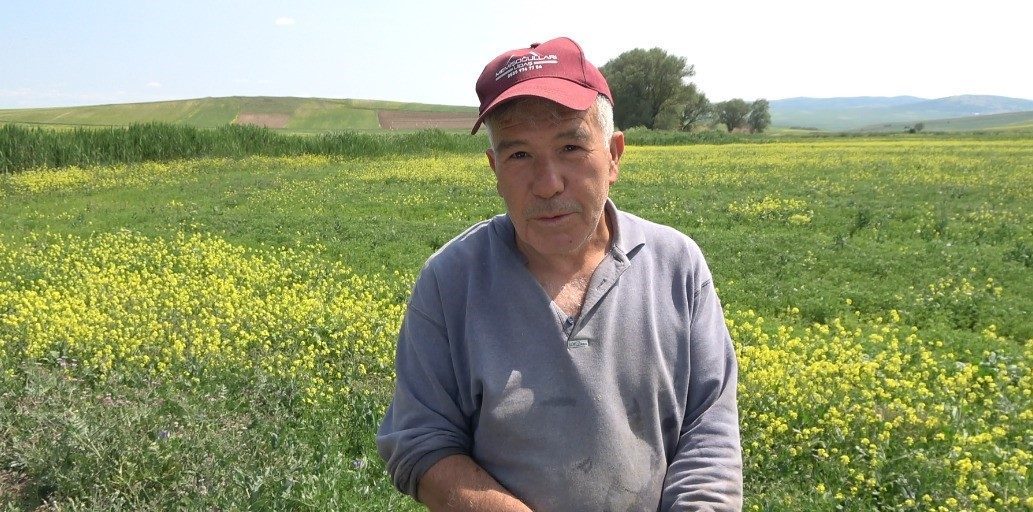 Yozgat’ın Sorgun ilçesine bağlı Doğankent beldesinde bazı tarlalar don olayında