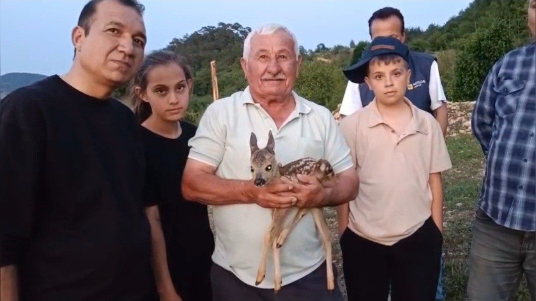 Sinop’un Durağan ilçesinde çobanlık yapan Veysel Çatalcı, bulduğu yavru ceylana