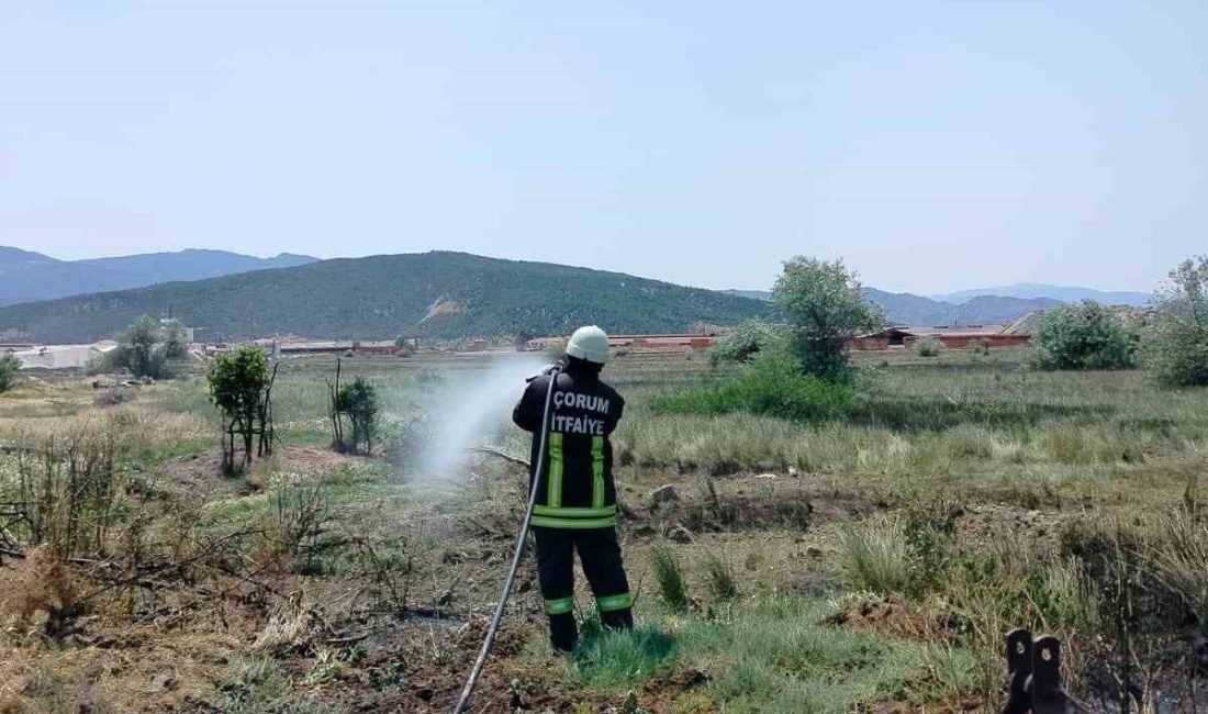 Çorum’da korkutan arazi yangını Çorum’un Osmancık ilçesinde bir tarlada çıkan yangın itfaiye ekiplerinin hızlı