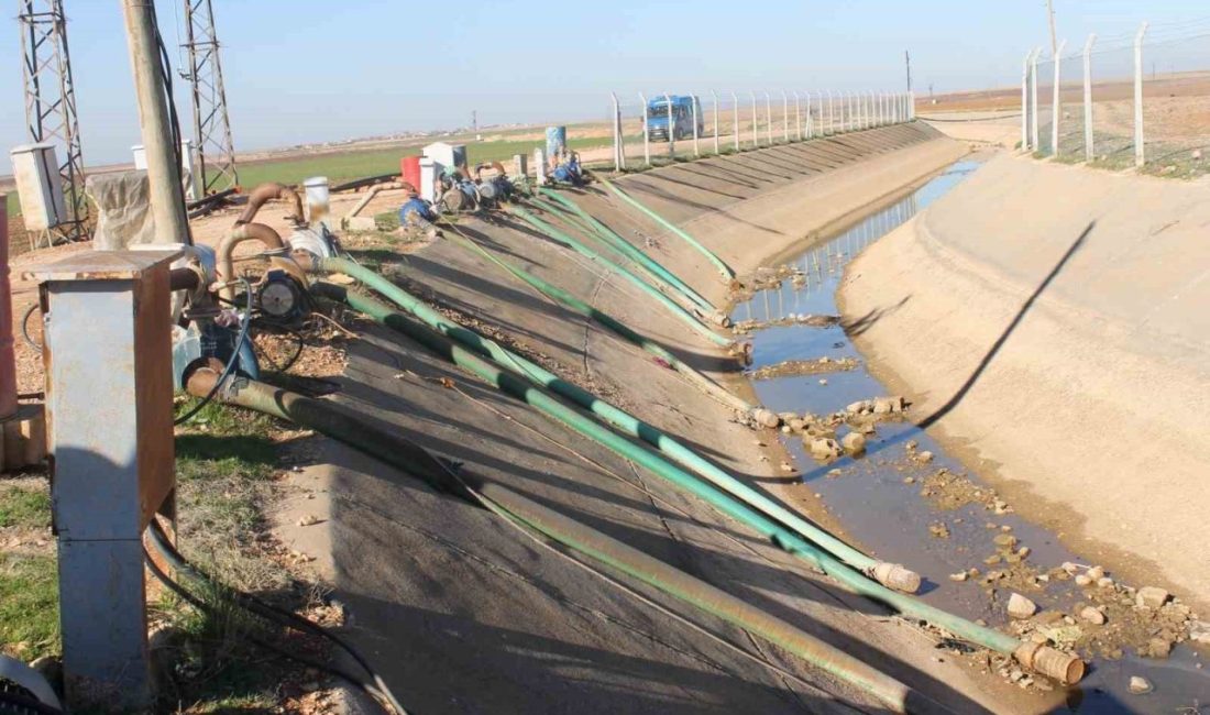 Dicle Elektrik, Güneydoğu Anadolu Bölgesi’nde 21 bini aşkın tarımsal sulama