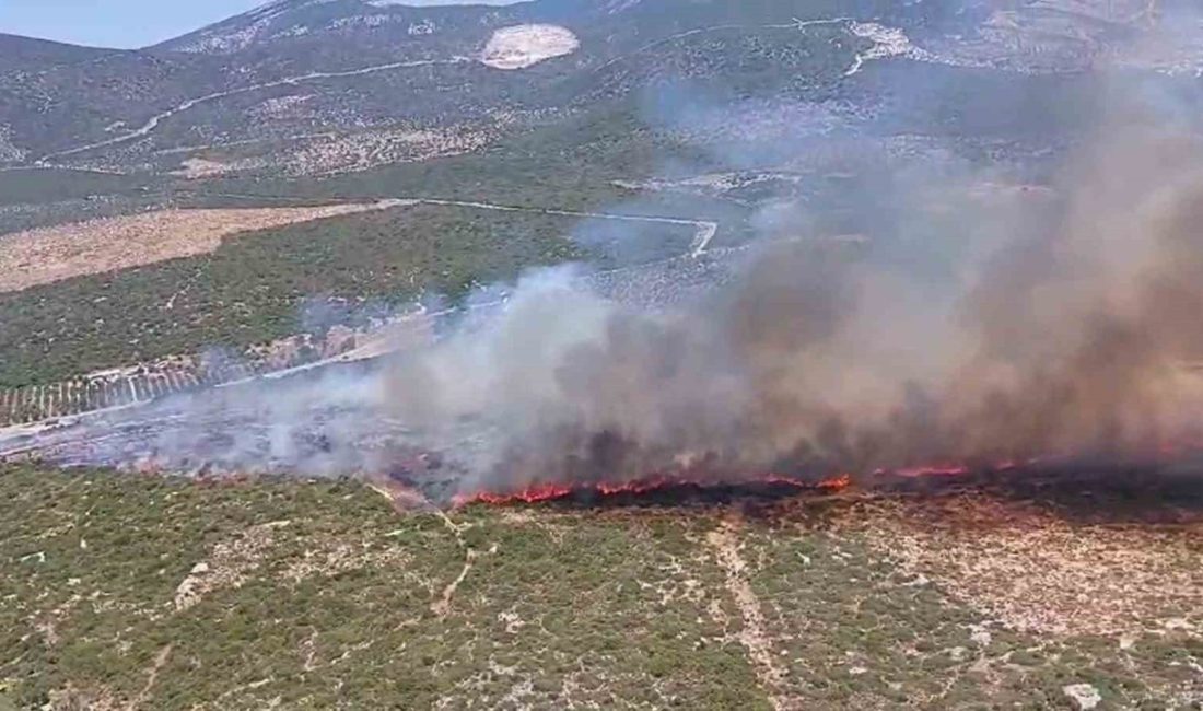 Aydın’ın Didim ilçesinde makilik alanda yangın çıktı, ekiplerin söndürme çalışmaları
