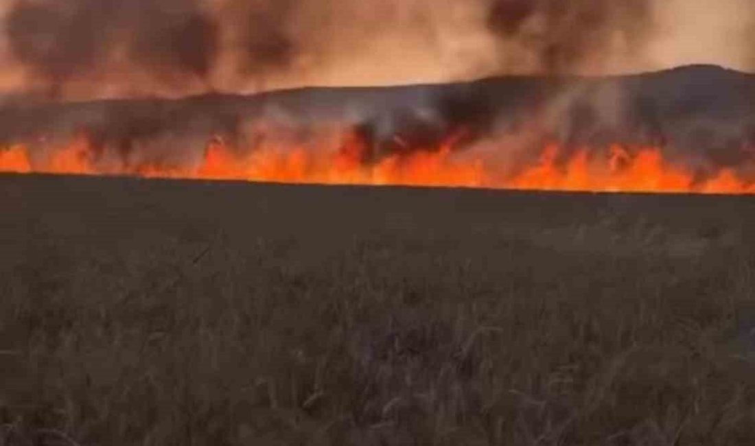 Diyarbakır’da buğday tarlasında anız yangını Diyarbakır’ın Lice ilçesinde buğday tarlası henüz bilinmeyen bir nedenden dolayı