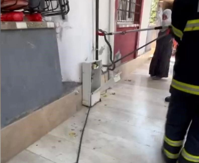 Doğal gaz kutusuna giren yılan doğal ortamına bırakıldı Osmaniye’de bir apartmanın doğal gaz kutusuna giren yılan, itfaiye ekiplerince