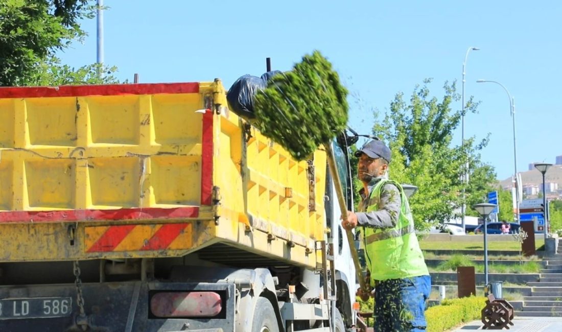 Elazığ Belediyesinden Millet Bahçesinde kapsamlı düzenleme çalışması Elazığ Belediyesi, vatandaşların sıklıkla tercih ettiği Millet Bahçesinde kapsamlı temizlik,