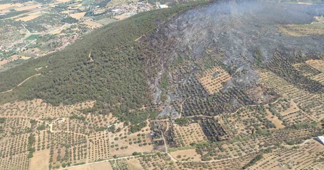 İzmir’in Foça ilçesinde ormanlık alanda çıkan ve rüzgarın etkisiyle büyüyen