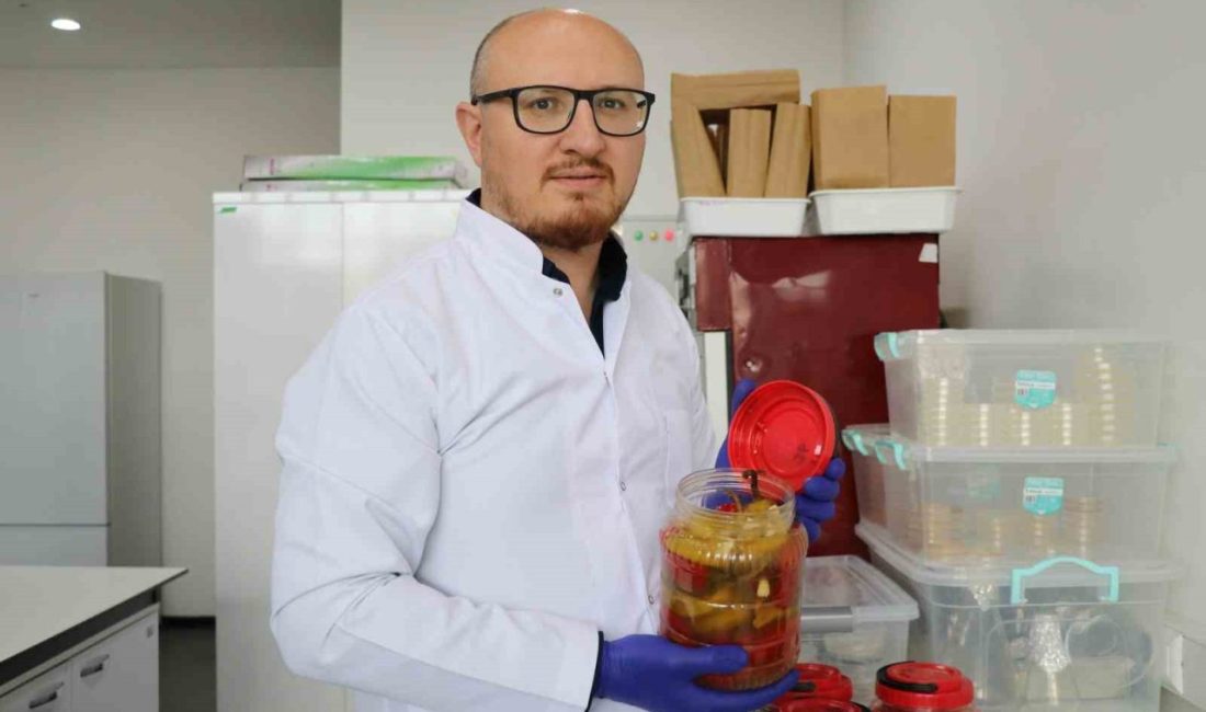 Sivas Bilim ve Teknoloji Üniversitesi (SBTÜ), yürüttüğü bilimsel çalışmada turşu