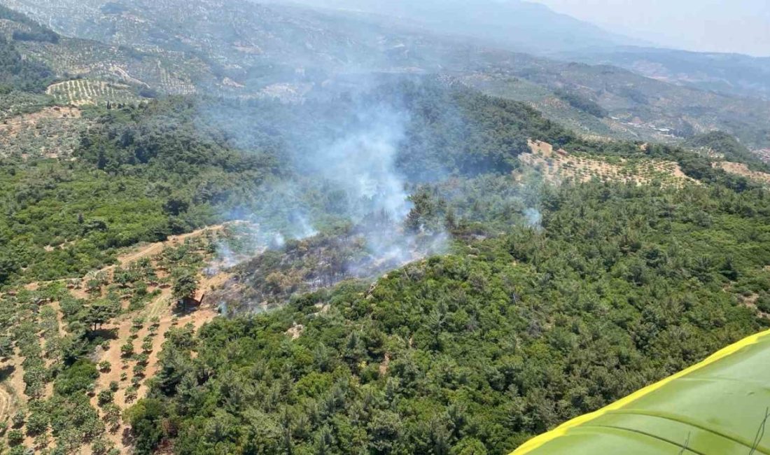 Germencik’te orman yangını Aydın’ın Germencik ilçesinde ormanlık alanda meydana gelen orman yangını çıkarken,