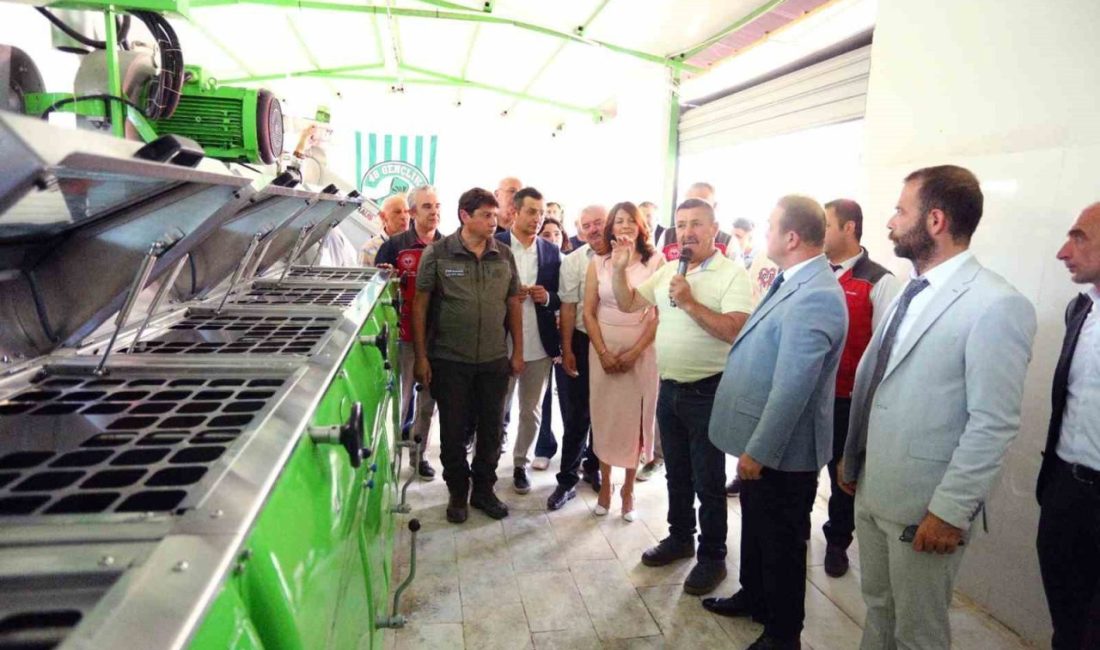 Göktepe’de Zeytinyağı etkinliği Muğla’nın Menteşe ilçesi Göktepe Mahallesi’nde zeytinyağı etkinliği düzenlendi. Etkinlik, Göktepe