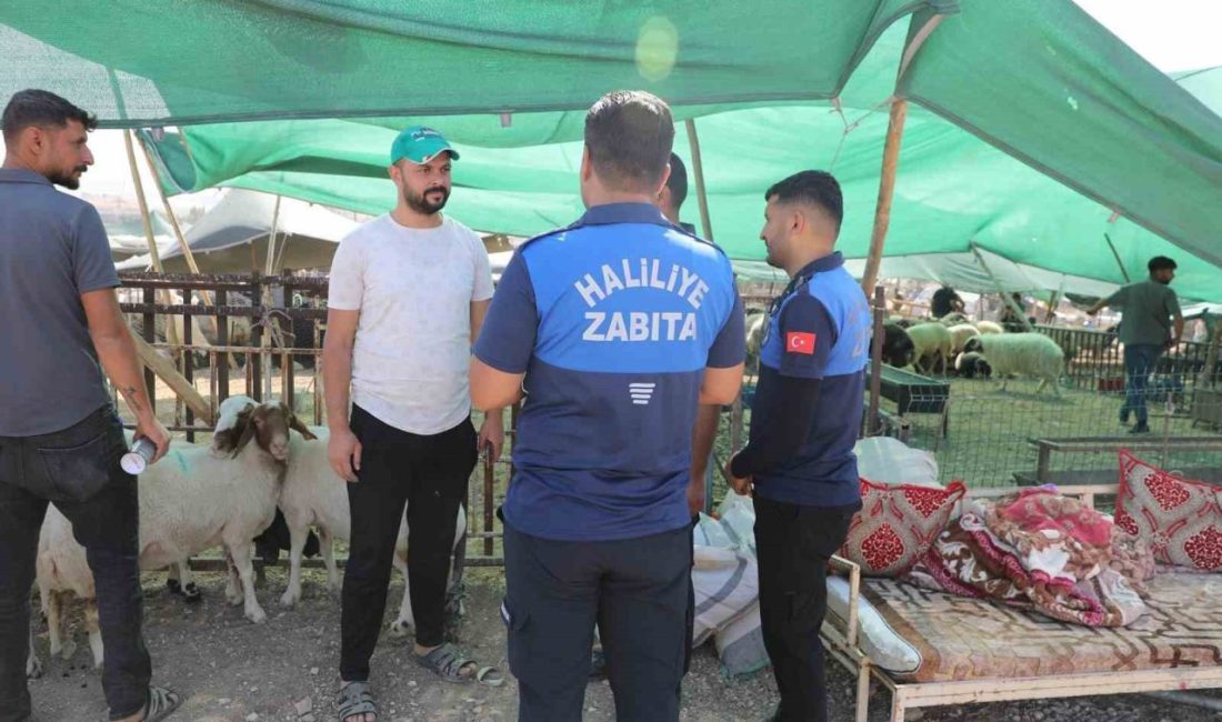 Haliliye Belediyesi 662 personeliyle sahada Kurban Bayramı süresince vatandaşların huzur ve güven içerisinde bir bayram