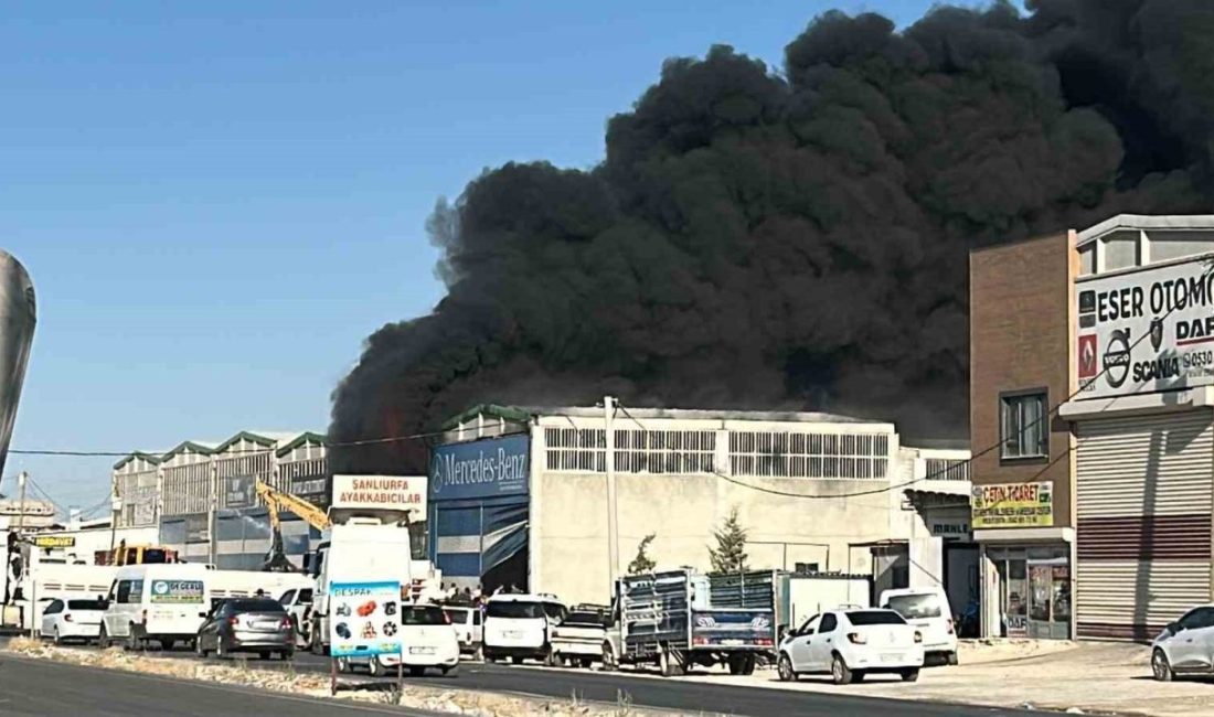 Hırdavat deposunda çıkan yangına TOMA ile müdahale edildi Şanlıurfa’da bir hırdavat deposunda çıkan yangın, itfaiye ve TOMA ekiplerinin