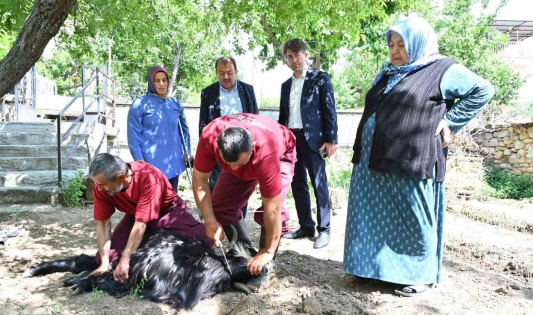 Isparta Belediyesi evlere giderek tek tek kurbanları kesti Isparta Belediyesi, 45 mahalle muhtarlığıyla belirlenen ve kurbanlıklarını alan ancak