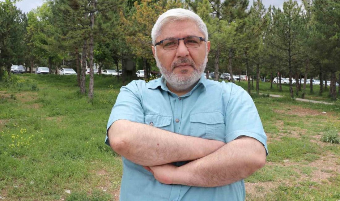 Yeni medya, yapay zeka ve post-Luddism (işini kaybetme korkusu) alınandaki