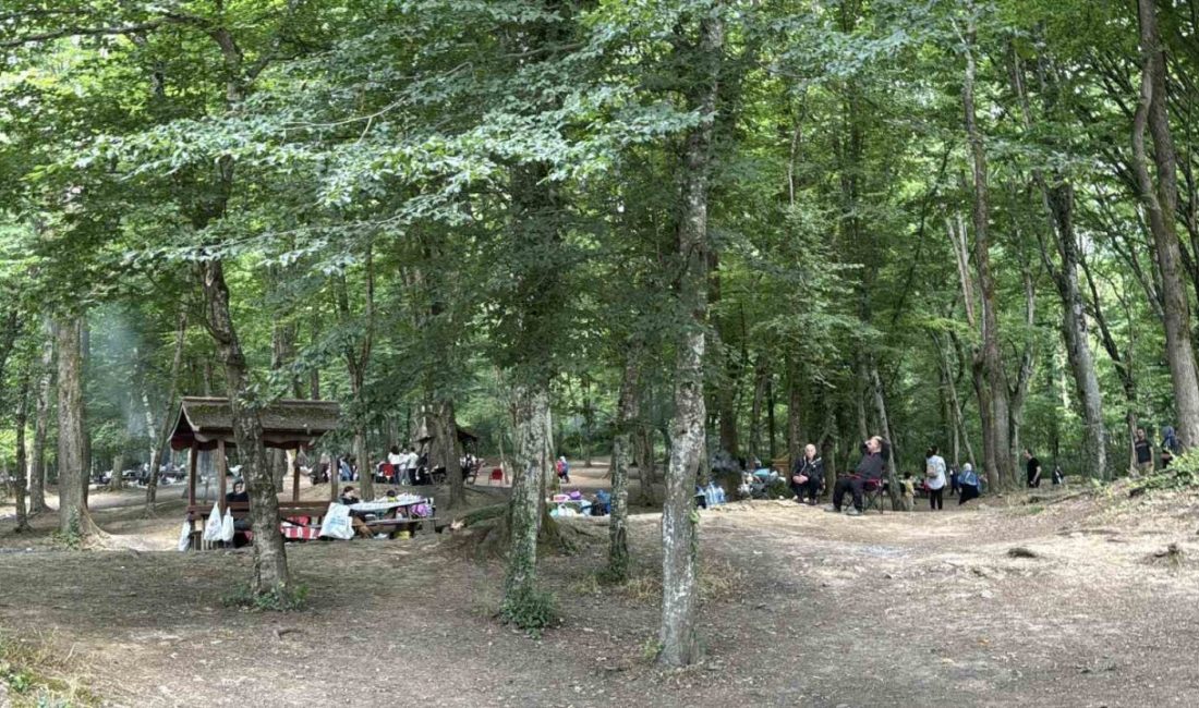 Kurban Bayramı’nın 2’nci gününde vatandaşlar Belgrad Ormanı’na akın etti. Çocuklar
