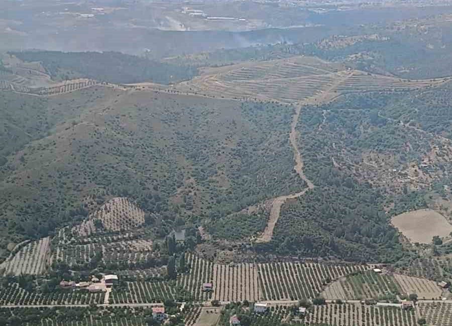 İzmir’in Seferihisar ilçesinde orman arazisinde çıkan yangın havadan ve karadan