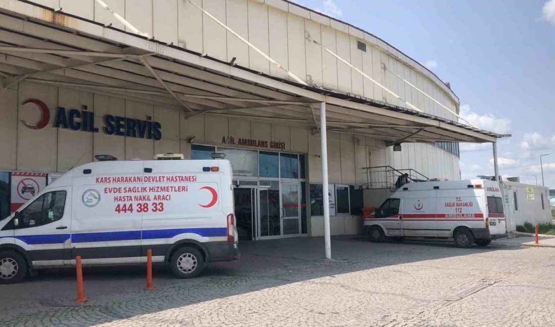 Kars’ta acemi kasaplar kendileri kesti Kars’ta acemi kasaplar, kendilerini kesti. Kurbanlıklarını keserken kendilerini yaralayan 37