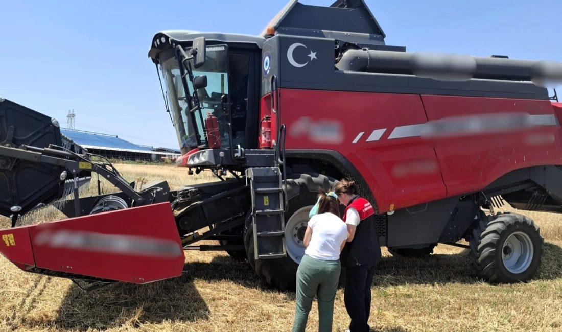Kırklareli’nde arpa ve buğday hasat kontrolleri sürüyor Kırklareli’nde İl Tarım ve Orman Müdürlüğü ekiplerince devam eden arpa