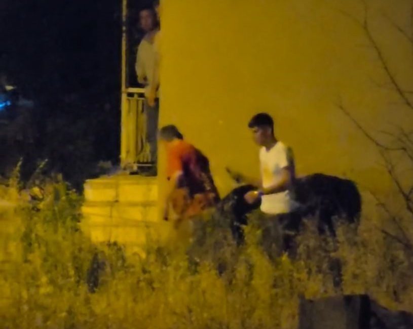 Konya’da firari boğa ortalığı birbirine kattı Konya’nın Seydişehir ilçesinde hayvan pazarından kaçan boğa trafiği birbirine kattı.