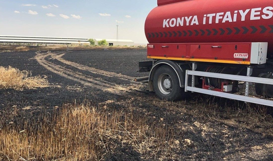 Kulu’da buğday tarlası yandı Konya’nın Kulu ilçesinde hasadı yapılmamış 35 dekarlık buğday tarlasında çıkan