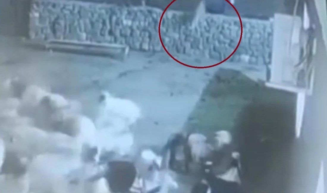 Kurt, ağıldaki sürüye böyle daldı: Kurdun kaptığı koyun ölü taklidi yaparak kurtuldu Diyarbakır’ın Çınar ilçesinde kurdun ağıldaki sürüye dalıp almak istediği koyunla