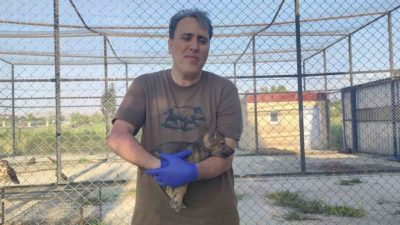 Sakarya Üniversitesi Biyoloji Bölümü’nde görevli Doç. Dr. Murtaza Nadiri, Van’a