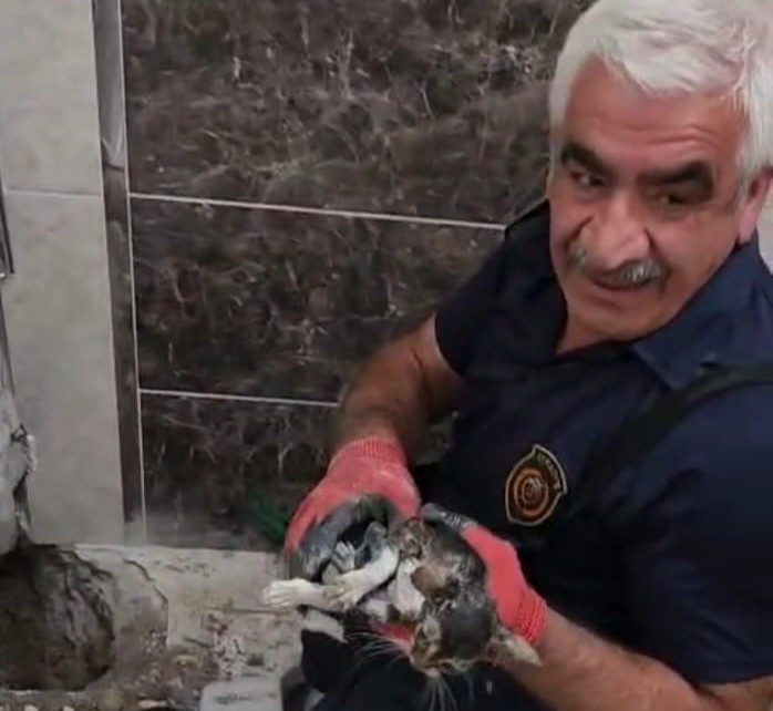 Malatya’da atık su hattına düşen yavru kedi kurtarıldı Malatya’da bir evin atık su hattına düşen yavru kedi, Büyükşehir