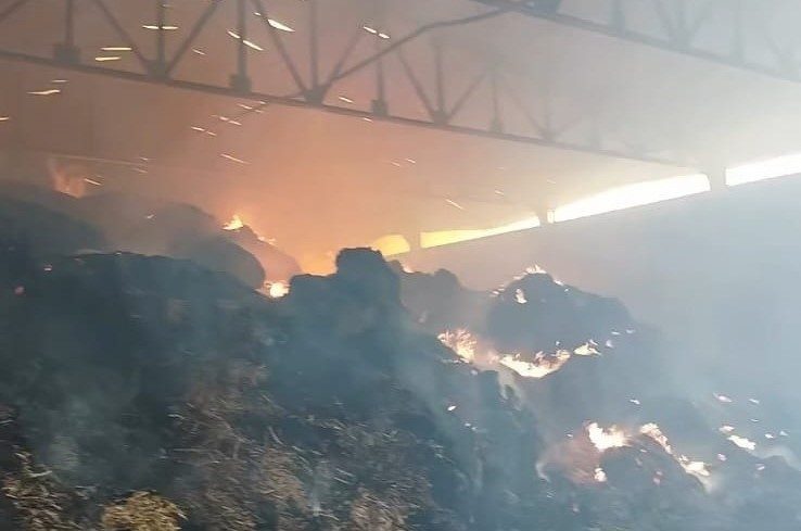 Manisa’da samanlık yangını: Binlerce balya saman kül oldu Manisa’nın Salihli ilçesinde bir çiftliğe ait samanlıkta çıkan yangında, binlerce