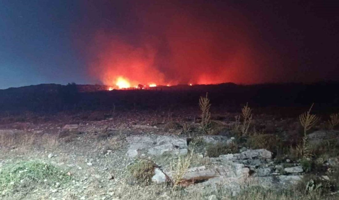 Menemen’de makilik alanda yangın İzmir’in Menemen ilçesinde makilik alanda yangın çıktı. Ekiplerin yangına müdahalesi