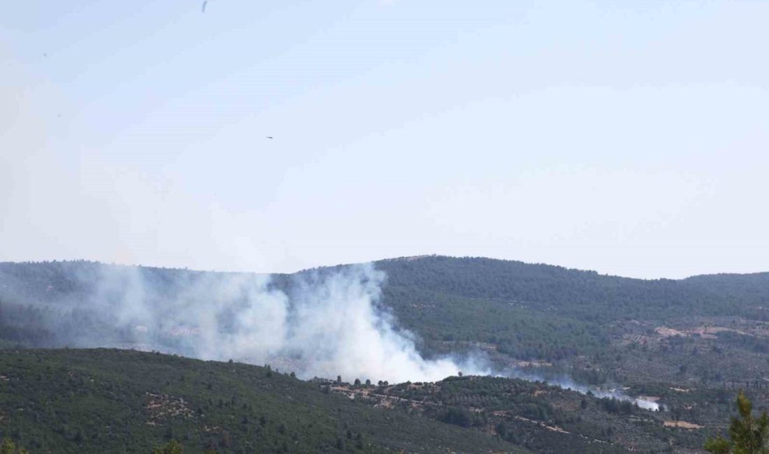 Muğla’nın Menteşe ilçesi Yeşilyurt Mahallesinde tarım arazisinde başlayan yangın ormanlık
