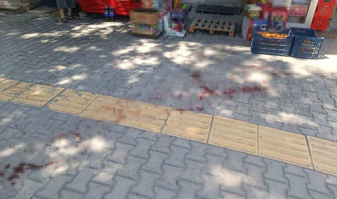 Mersin’de kavgada bir kişiyi bıçaklayan şüpheli tutuklandı Mersin’in Mut ilçesinde kavga sırasında bir kişiyi bıçakla yaralayan şüpheli,