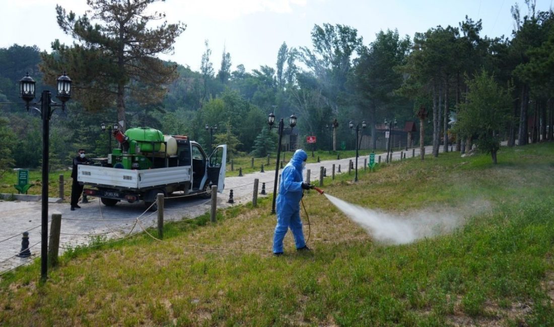 Niğde Belediyesi Veteriner İşleri Müdürlüğü ekipleri, yaz aylarının gelmesiyle birlikte