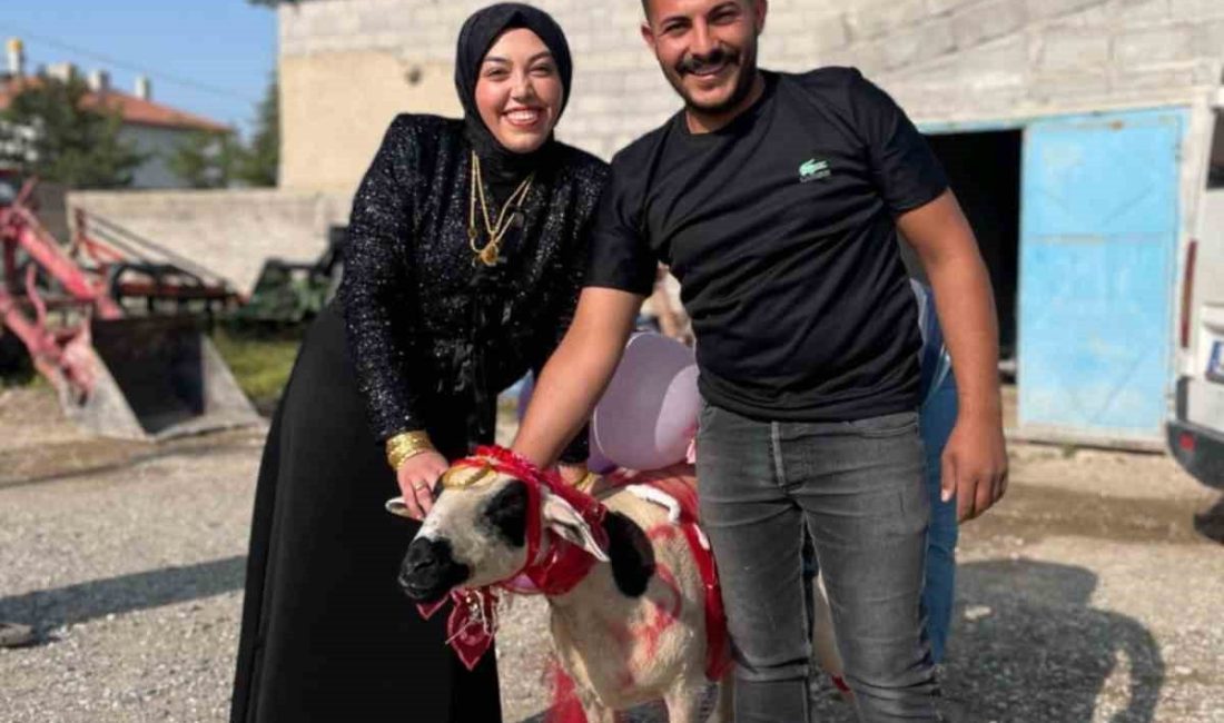 Nişanlısına süslediği koyunu hediye etti Konya’nın Karapınar ilçesinde bir genç nişanlısına süslediği koyunu hediye etti.