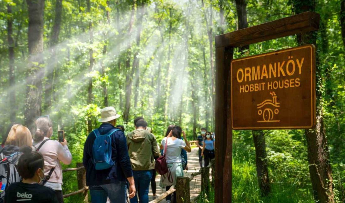 Ormanya’da yaz hazırlıkları tamamlandı Ormanya Doğal Yaşam Parkı, yeni yaz sezonuna ziyaretçilerini en iyi